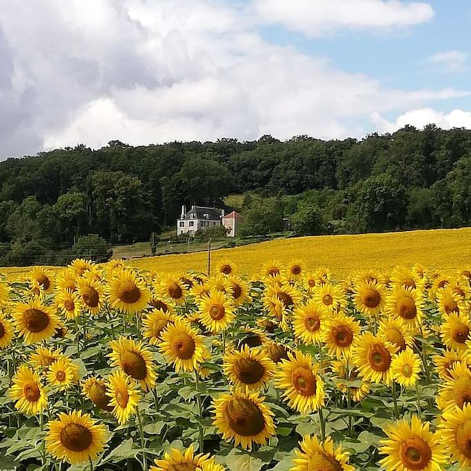 Chambre Privee Calme,Campagne,Etape,Deplacement Pro,Abri Moto Velo,Parking Vaux-sur-Vienne エクステリア 写真